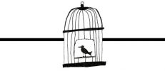 birdcage w.line