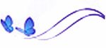 butterfly div dif color narrow