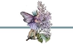 lavendar fairy divider