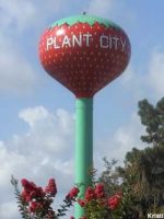 plant city water tower